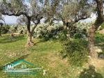 terrain agricole 7200 m² à wed el khatef kelibia