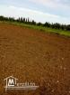 2 Hectares Borj Touil
