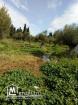 2 Hectares Borj Touil