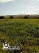 2 Hectares Borj Touil