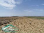terrain agricole 10540 m² à wed el khatef kelibia