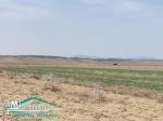 terrain agricole 10540 m² à wed el khatef kelibia