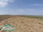 terrain agricole 10540 m² à wed el khatef kelibia