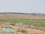 terrain agricole 10540 m² à wed el khatef kelibia