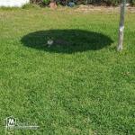 a louer une villa pied dans l'eau à chatte mariem 54221787