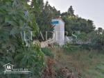 un superbe terrain à 5 km de Yasmine  Hammamet 27246310