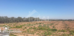 Ferme de 08 hectares à Borj El Amri