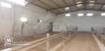 Ferme de 08 hectares à Borj El Amri