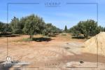 Un superbe Terrain Situé à Mrezga Hammamet 27246310