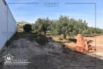 Un superbe Terrain Situé à Mrezga Hammamet 27246310
