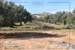 Un superbe Terrain Situé à Mrezga Hammamet 27246310