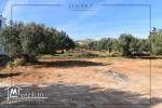 Un superbe Terrain Situé à Mrezga Hammamet 27246310