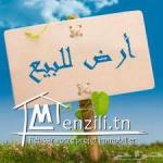 Terrain de 214 m2  à Kélibia