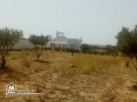 terrain 300m2 route 71 sidi metir yasmine hammamet