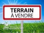 VENTE TERRAIN TANTANA