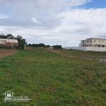 offre speciale / 26122779