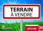 terrain à bas prix à tormos