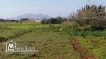Terrain pres de la plage d'El Haouaria de 2min a pieds