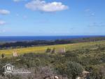 Terrain à tamzrat vue-sur-mer