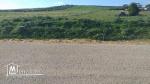 4 hectare à Tamzrat sur la route principale ‼️