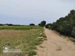 terrain agricole 21540 m² à haret chouara dar allouch