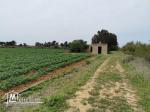 terrain agricole 21540 m² à haret chouara dar allouch