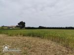 terrain agricole 21540 m² à haret chouara dar allouch