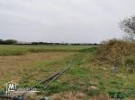 terrain agricole 21540 m² à haret chouara dar allouch