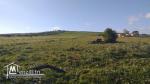 A vendre 4 hectares à tamzrat kelibia 