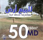 terrain a 3km de yassmin hammamet