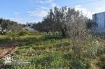 un superbe terrain de 1000 à Monchar Hammamet