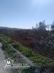 terrain de 116 hectares firma