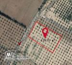 قطعة ارض فلاحية للبيع بزغوان