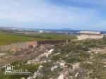 Un Terrain a la plage d’el haouaria vue de mer pied dans l'eau