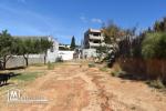 AV un terrain situé à kharouba Hammamet Nord, en face carrefour market