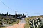 AV un terrain  à Hammamet sud (el monchar)