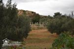 AV un terrain El monchar Hammamet