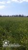 un grand terrain agricole plus de 3,5 hect