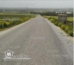 حاجة ولا حتى فالبال