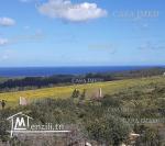 حاجة ولا حتى فالبال