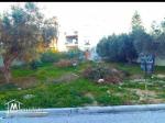 A vendre terrain a sidi mahrsi1