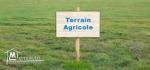 Terrain agricole ou habitation