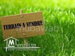 Vente terrain a sokra
