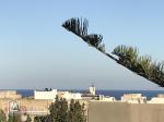 Bel appartement Hammamet Nord á vendre