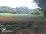 16500m2 seuelement a 132000dt