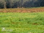 16500m2 seuelement a 132000dt