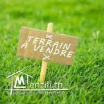 Emplacement Stratégique