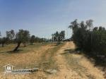 Un  terrain a vendre  a 2km de  CHOTT_MARIEM SOUSSE