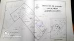 A vendre un terrain de 515m2:RTE Hammamet-BIR BOUREGBA(260 dt/m) soit 134 000 DT