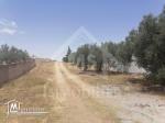un #superbe terrain à #Yasmin #Hammamet